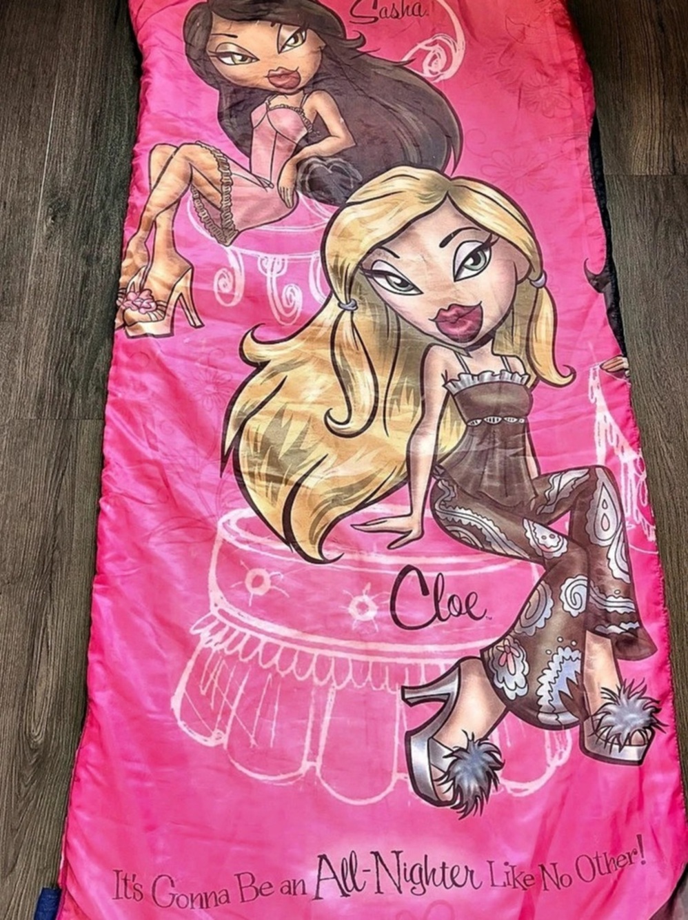 2004/Y2K Bratz “Nighty Nite” Kid’s Pink Slumber Party Sleeping Bag